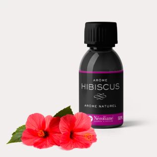 Hibiscus