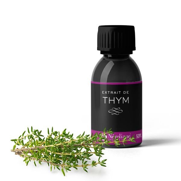 Thym : arômes, bienfaits de cet aromate